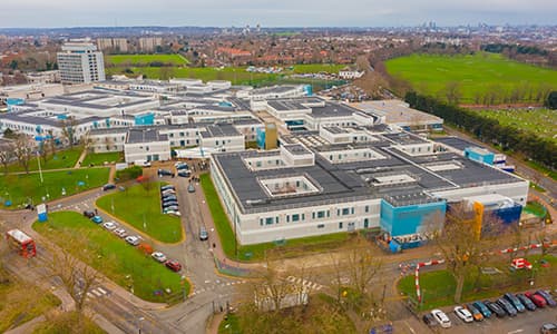 Drone Surveys